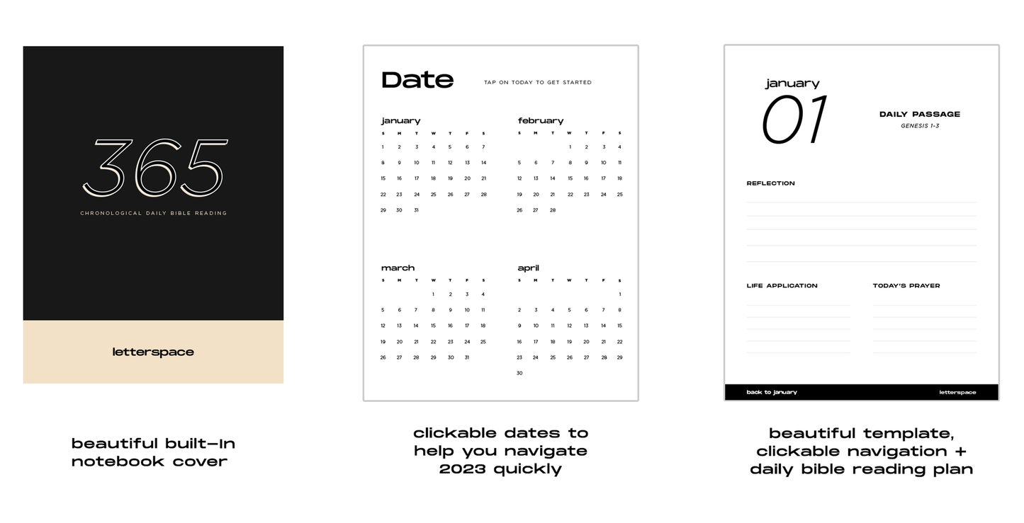 365: Chronological Daily Bible Journal (2023)